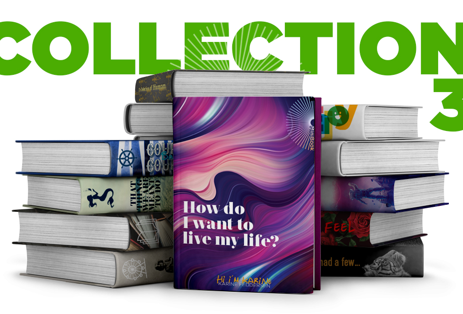 Karine Feddersen MiniBooks Collection3