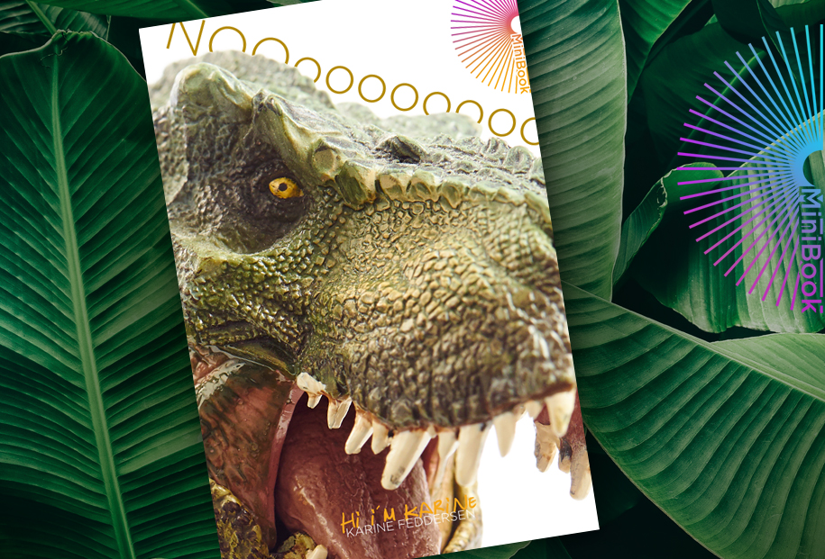 Karine Feddersen MiniBook Nooooo