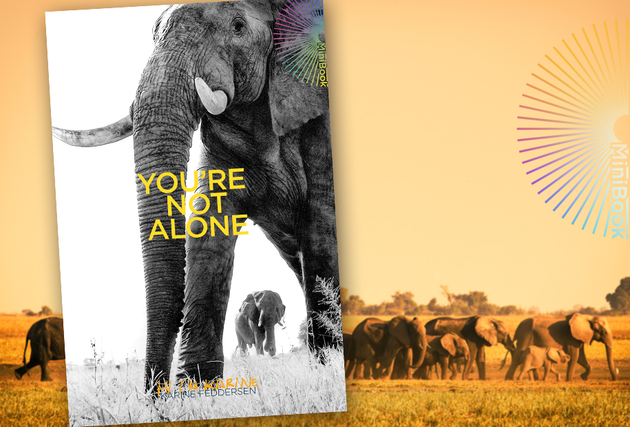 Karine Feddersen MiniBook Youre not alone